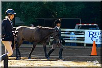 4H-District-2004-0374.jpg