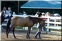 4H-District-2004-0377.jpg