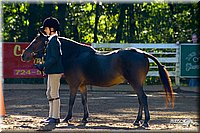 4H-District-2004-0387.jpg