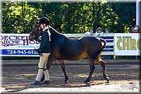 4H-District-2004-0388.jpg