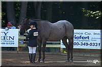 4H-District-2004-0395.jpg