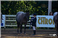 4H-District-2004-0413.jpg