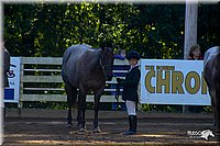 4H-District-2004-0414.jpg