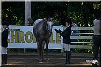 4H-District-2004-0415.jpg