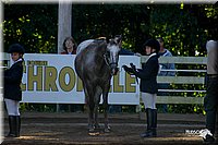 4H-District-2004-0416.jpg