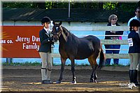 4H-District-2004-0417.jpg