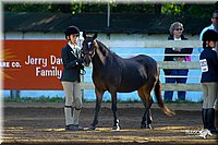 4H-District-2004-0418.jpg