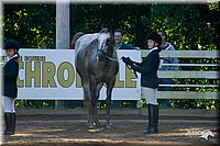 4H-District-2004-0420.jpg