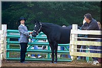 4H-District-2004-0813.jpg