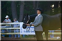 4H-District-2004-0818.jpg