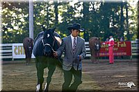 4H-District-2004-0822.jpg