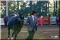 4H-District-2004-0823.jpg