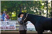 4H-District-2004-0826.jpg