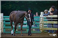 4H-District-2004-0830.jpg