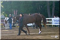 4H-District-2004-0834.jpg