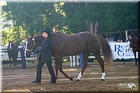 4H-District-2004-0835.jpg