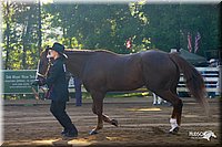 4H-District-2004-0840.jpg