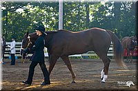 4H-District-2004-0841.jpg