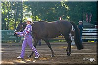 4H-District-2004-0849.jpg