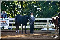 4H-District-2004-0864.jpg