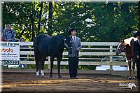 4H-District-2004-0865.jpg