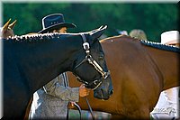 4H-District-2004-0872.jpg