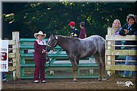 4H-District-2004-0875.jpg