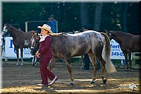 4H-District-2004-0880.jpg