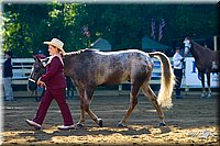 4H-District-2004-0881.jpg