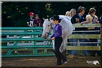 4H-District-2004-0894.jpg