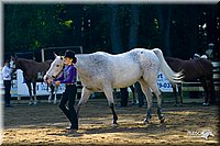 4H-District-2004-0897.jpg