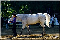 4H-District-2004-0898.jpg