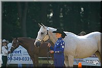 4H-District-2004-0911.jpg