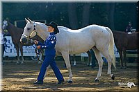 4H-District-2004-0914.jpg