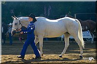 4H-District-2004-0916.jpg