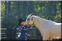 4H-District-2004-0917.jpg