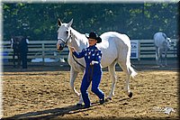 4H-District-2004-0919.jpg