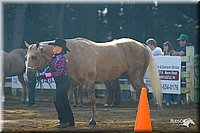 4H-District-2004-0926.jpg