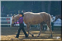 4H-District-2004-0927.jpg