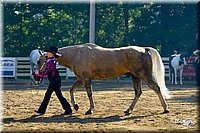 4H-District-2004-0939.jpg