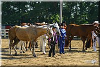 4H-District-2004-0954.jpg