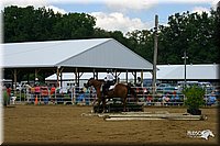 4H-District-2004-0496.jpg