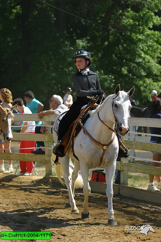 4H-District-2004-1171.jpg