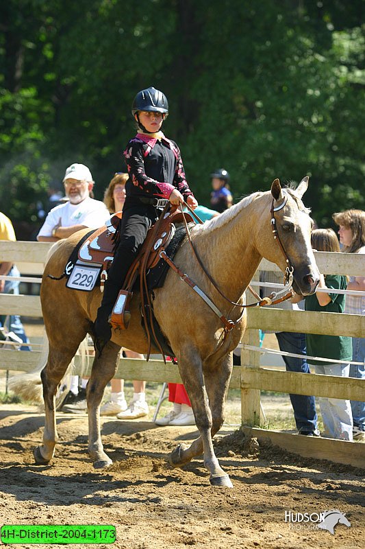 4H-District-2004-1173.jpg