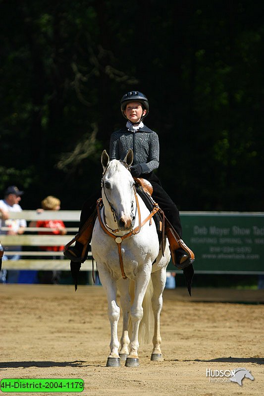 4H-District-2004-1179.jpg