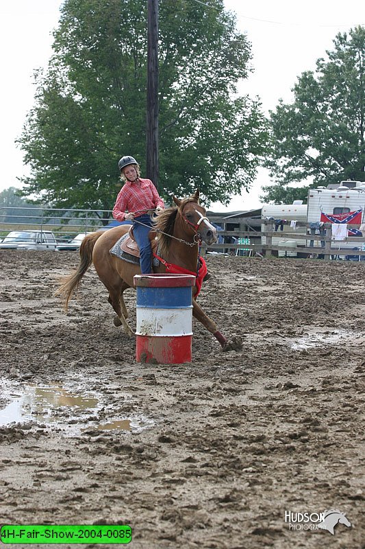 4H-Fair-Show-2004-0085.jpg