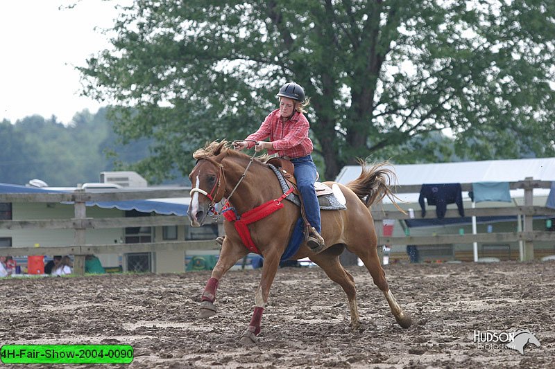 4H-Fair-Show-2004-0090.jpg