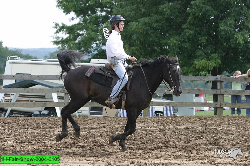 4H-Fair-Show-2004-0105.jpg