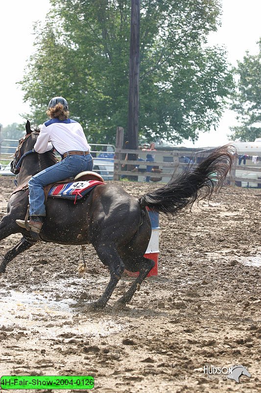 4H-Fair-Show-2004-0126.jpg