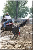 4H-Fair-Show-2004-0126.jpg